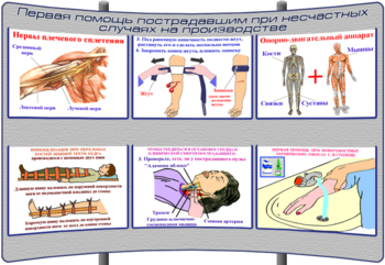 (К-ОТ-1) Первая помощь пострадавшим при несчастных случаях на производстве - Тематические модульные стенды - Охрана труда и промышленная безопасность - Магазин кабинетов по охране труда "Охрана труда и Техника Безопасности"